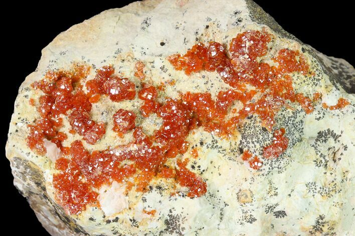 Red & Orange Vanadinite Crystals on Dolomite - Morocco #155415